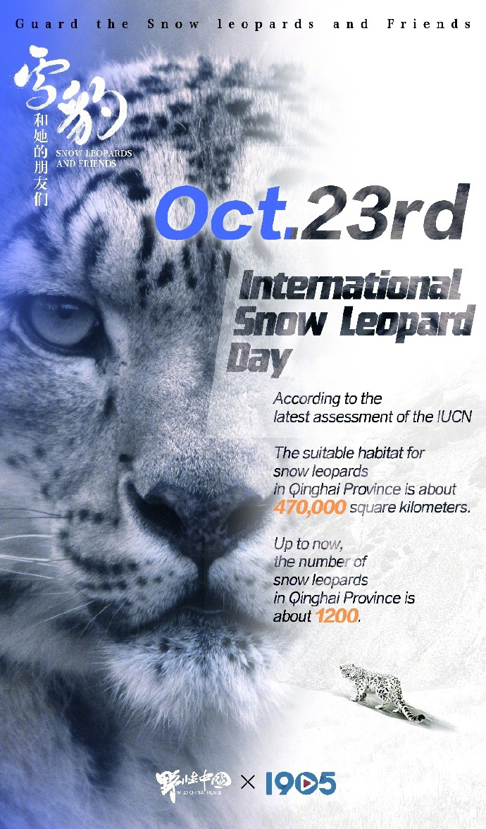 参与10.23国际雪豹日活动，踏入《雪豹和她的朋友们》的世界，共同守护