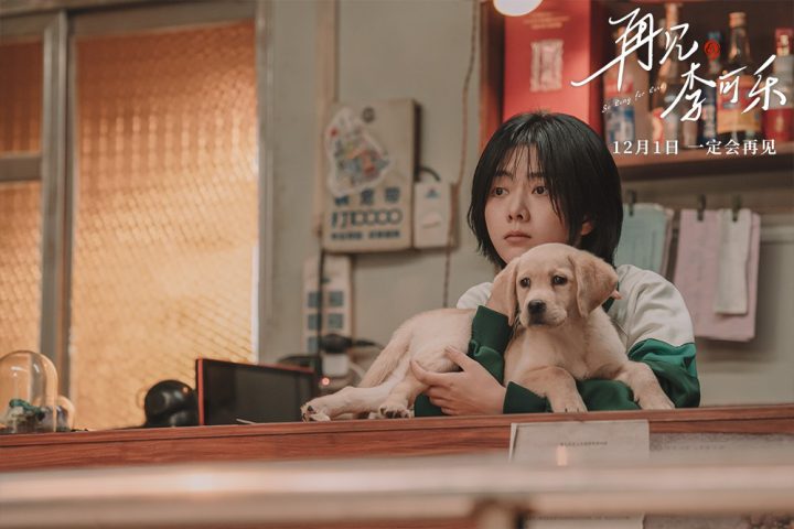 《再见，李可乐》百度云网盘全集高清版【BD1280P/3.3G-MP4】原声版下载链接