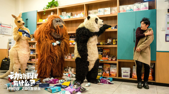 《动物园的神秘世界》：熊猫玩转单杠，猩猩展示惊人酒技，预告揭秘！