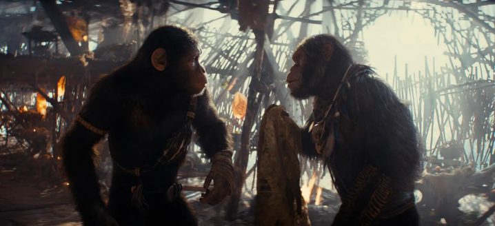 人猿踏上未知旅途，《猩球崛起4：新世界》曝光剧照