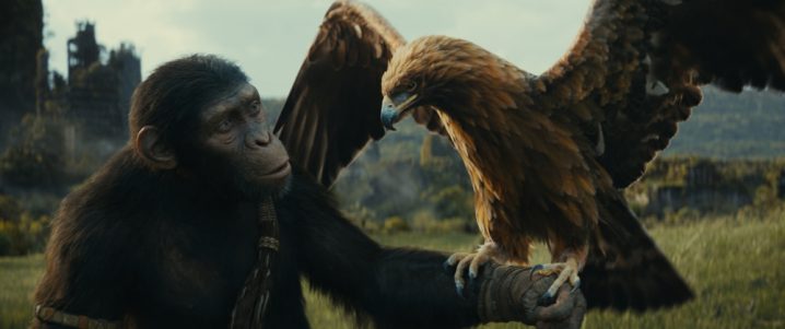 《猩球崛起：新世界》即将上映，人猿之争再度点燃！