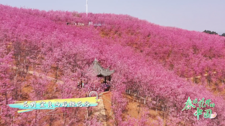 《春暖花开的中国》首播人次突破1.7亿，网络口碑爆红!