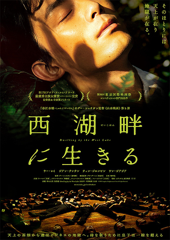 吴磊和蒋勤勤主演的《草木人间》日本版海报发布，电影将于9月27日在日本上映-1