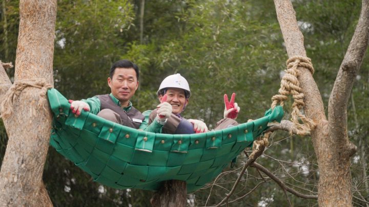 福宝纪录片《再见，爷爷》海报曝光，韩国饲养员演绎-2