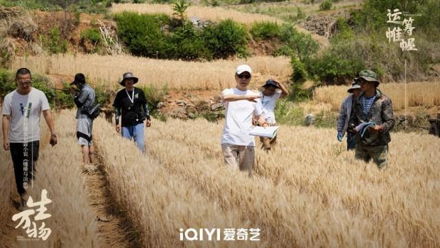 杨幂、欧豪领衔主演的电视剧《生万物》圆满收官，杀青结束-1