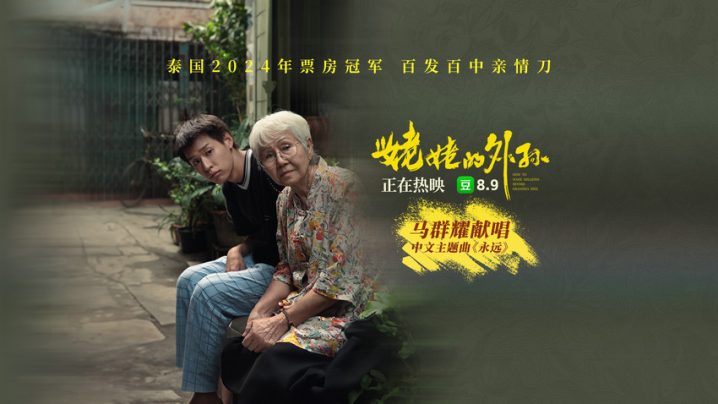 《姥姥的外孙》国语版超清晰版百度云网盘【BD720P/3.3G-MP4】迅雷资源种子下载-1