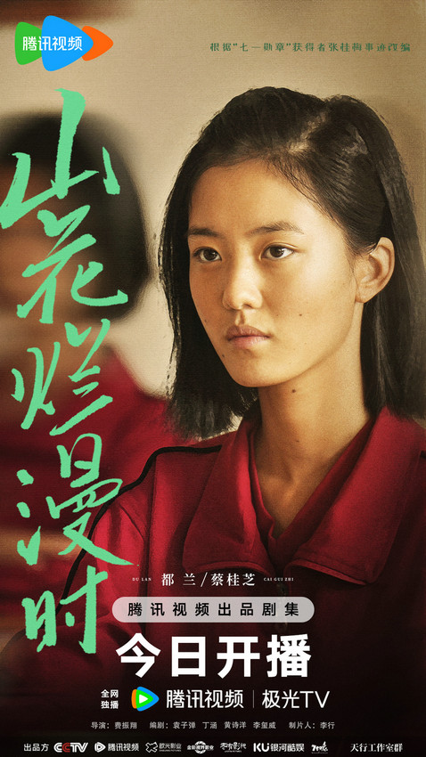 《山花烂漫时》阿里云（HD1080P/3.3G-MKV）迅雷资源在线看国语中字超清版-2