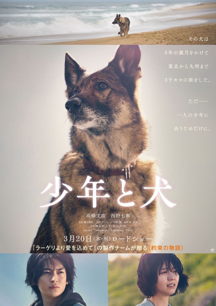 《少年与犬》预告发布，高桥文哉主演直木奖力作-1