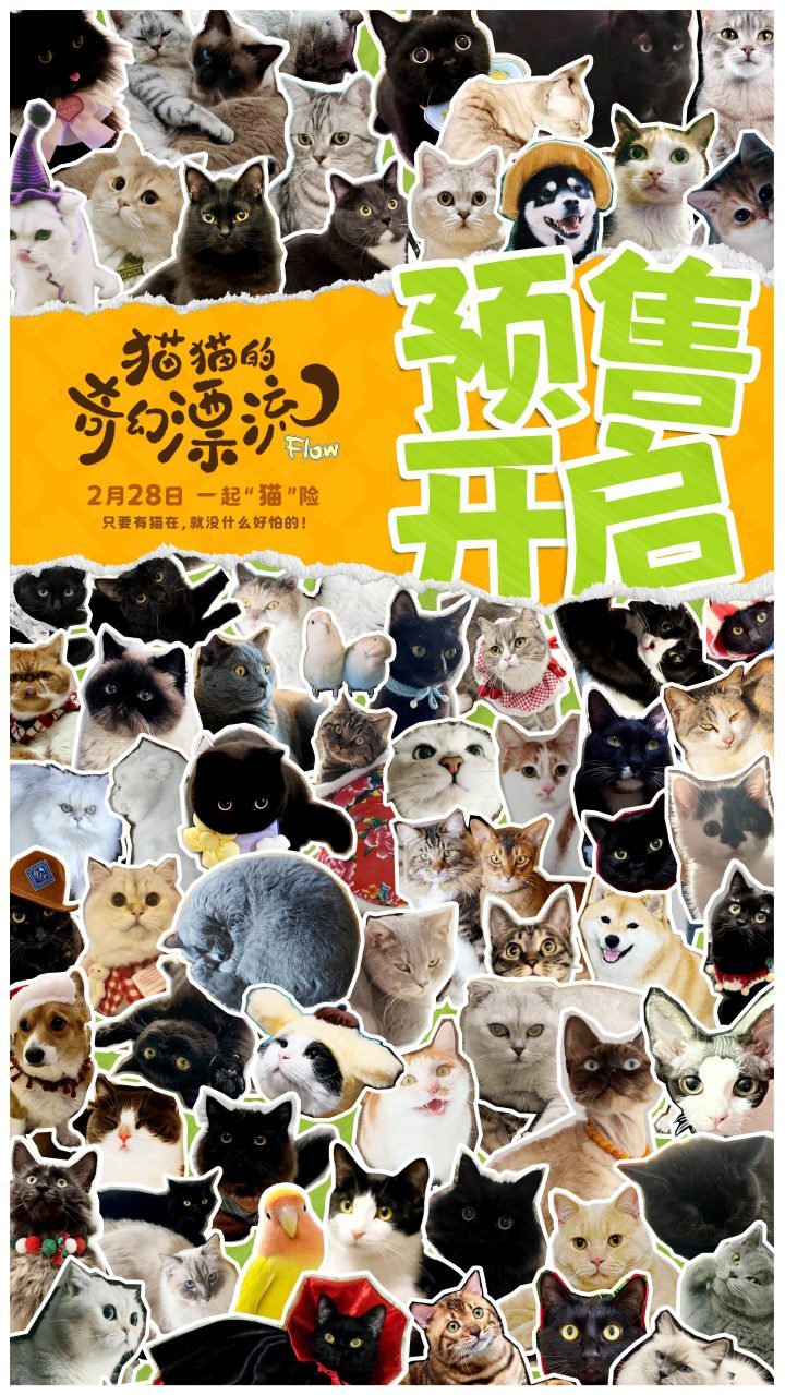 《猫猫的奇幻漂流》阿里云资源下载链接高清版（BD720P/3.9G-MP4）原声版-2