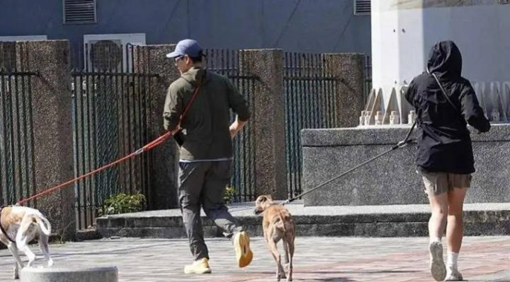 彭于晏新恋情传闻遭经纪人否认：仅是遛狗之交-1