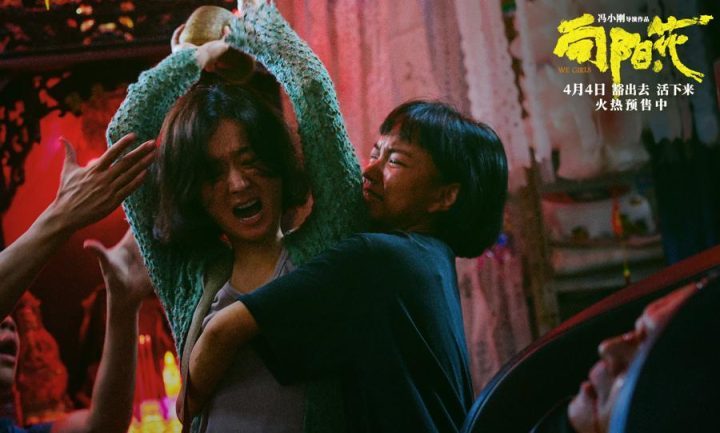 《向阳·花》原声版迅雷资源在线看超清阿里网盘【HD720P/3.6G-MP4】-1