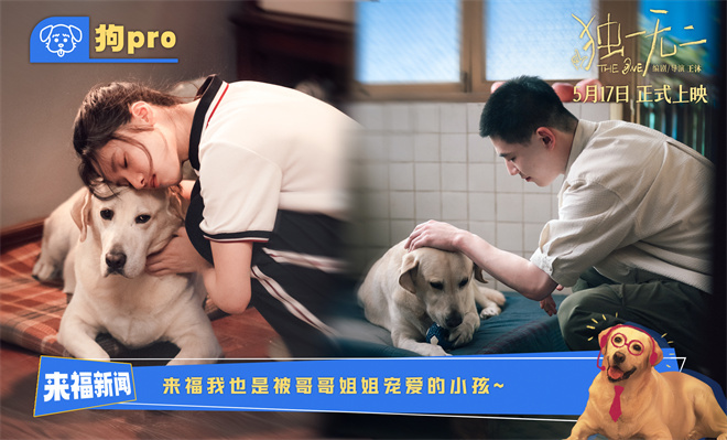 《独一无二》资源在线观看网盘（BD720P/3.6G-MKV）国语版高清-1
