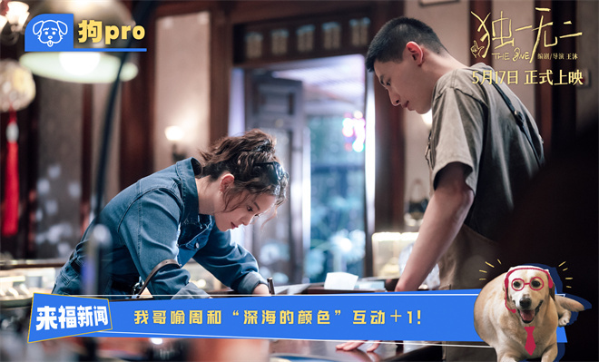 《独一无二》资源在线观看网盘（BD720P/3.6G-MKV）国语版高清-3