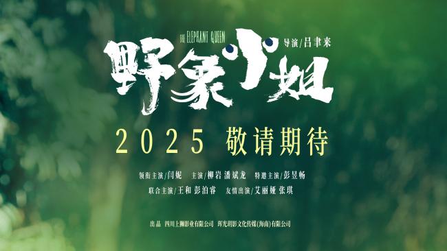 《野象小姐》预告发布：闫妮、彭昱畅母子档首秀-1