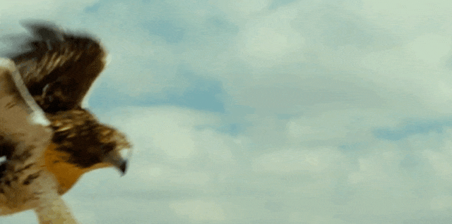 环球佳片展映：5.12起，电影频道带你环游世界-1