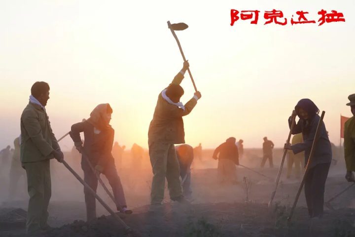《阿克达拉》上映：李雪健沉稳演绎援疆老人信念-1
