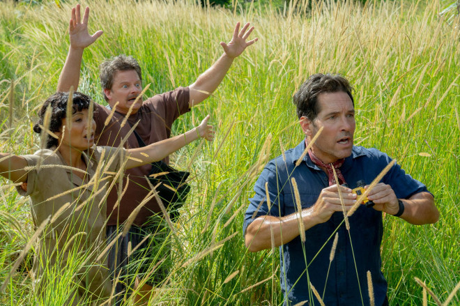 蚁人联手布莱克《新狂蟒之灾》预告来袭-3 蚁人联手布莱克《新狂蟒之灾》预告来袭-3