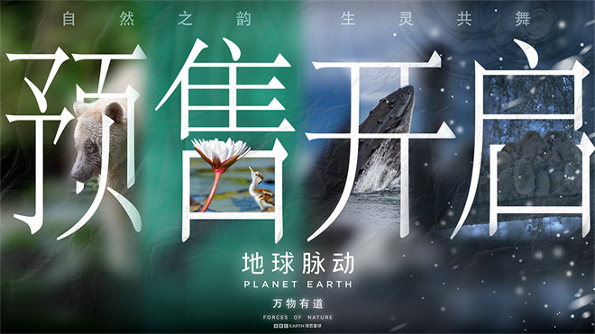 汉斯·季默倾情配乐《地球脉动：万物有道》9.12上映-2