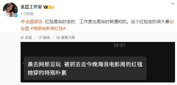 金晨红毯简约风:阿那亚游玩“意外”受邀-2 金晨红毯简约风:阿那亚游玩“意外”受邀-2