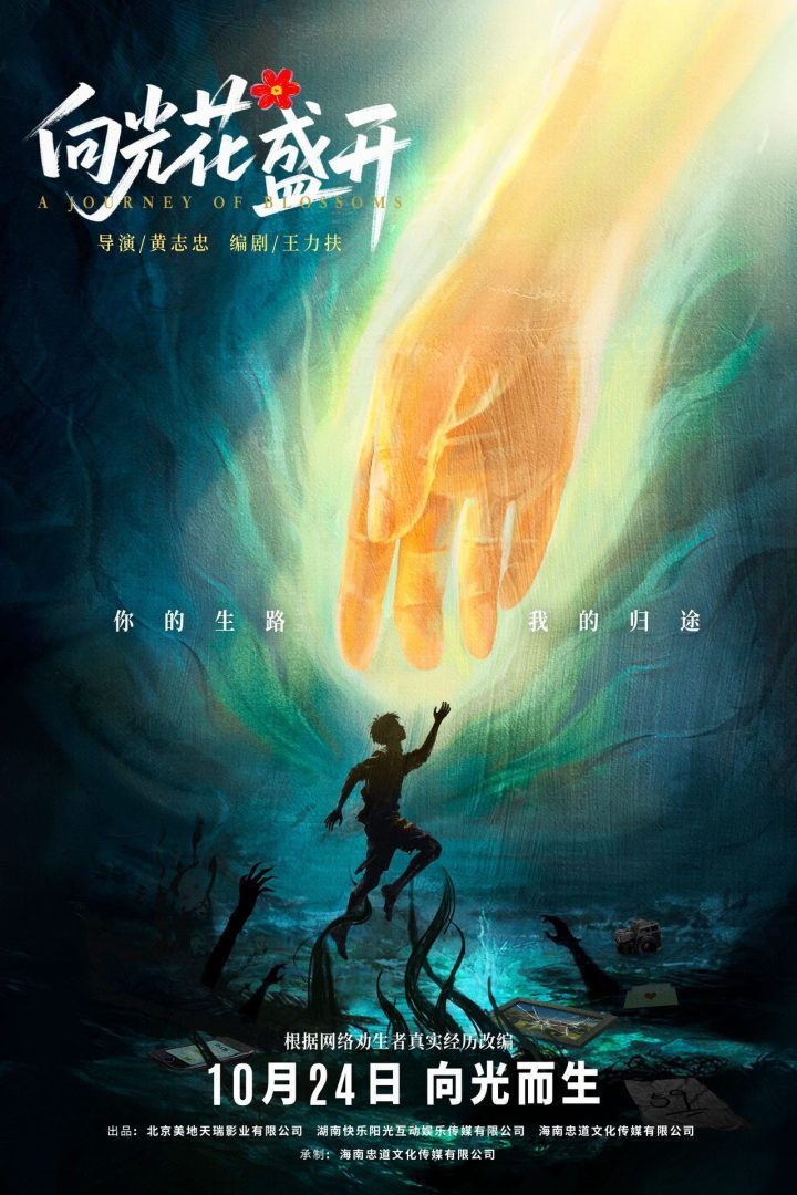 《向光花盛开》10月24日上映：青春成长与治愈，关注青少年心理-1