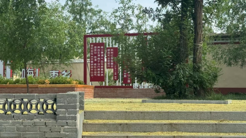 《一棵枣树》：吕文铮执导，山东聊城乡村振兴电影筹拍中-1