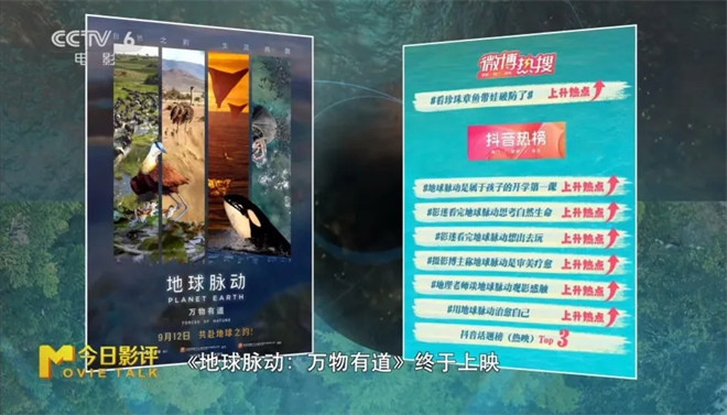 《地球脉动：万物有道》带你领略地球之美-1