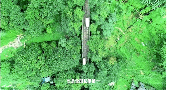 国庆档电影旅行指南:2025年流量之最-3 国庆档电影旅行指南:2025年流量之最-3