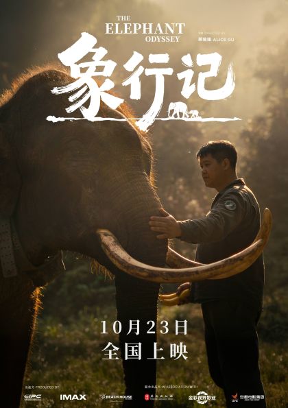 追踪中国野象迁徙足迹！IMAX首部生态纪录片《象行记》定档10月23日